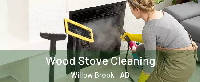  Wood Stove Cleaning Willow Brook - AB